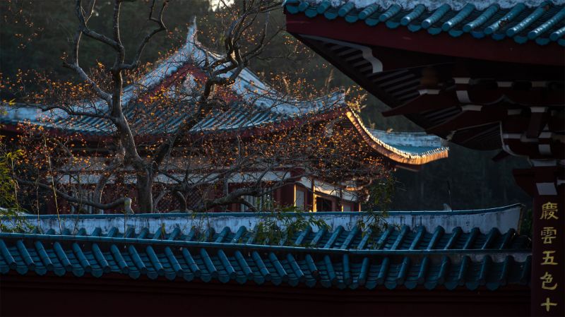 寺院风光